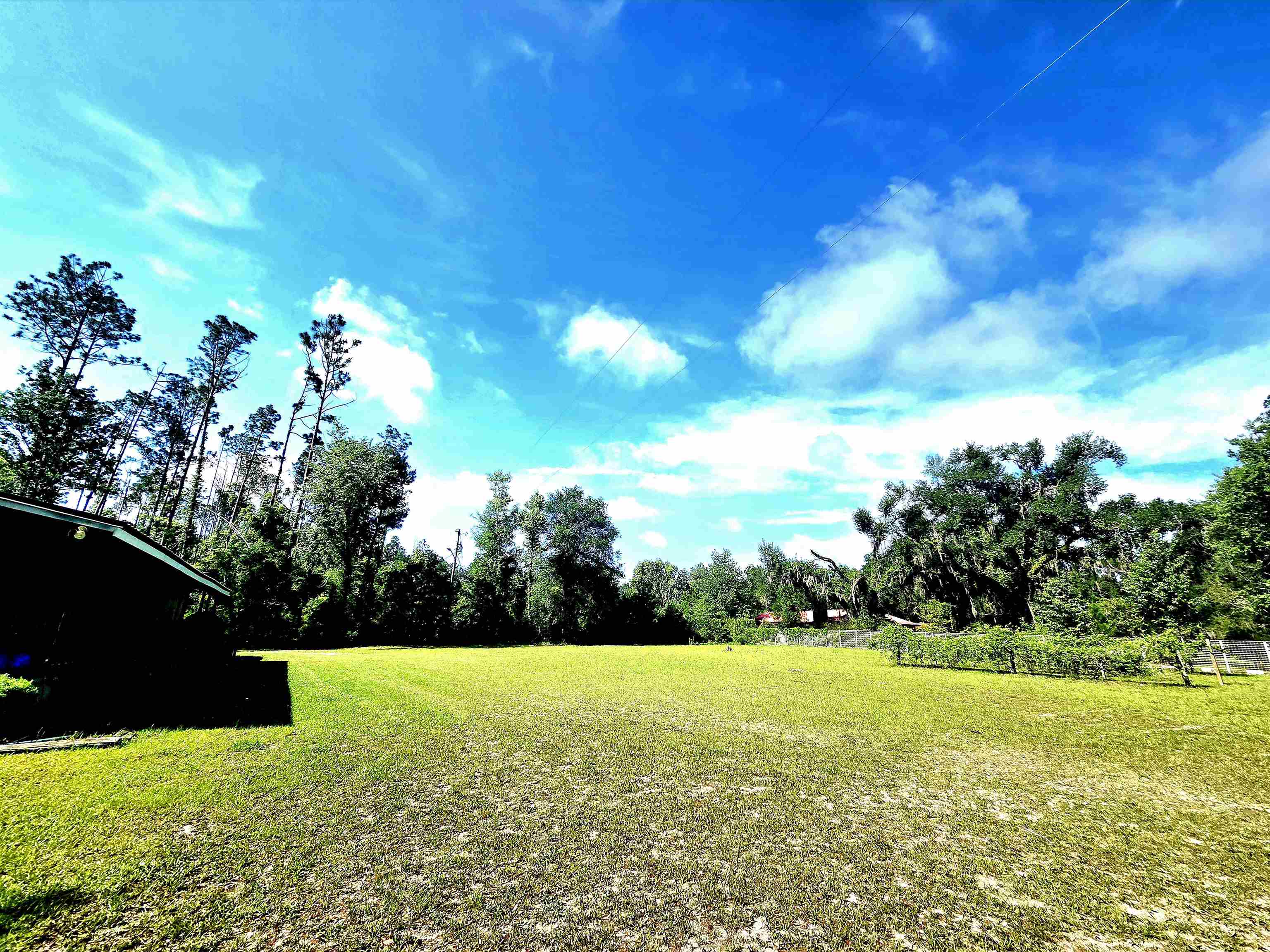 585 Mangum-Close Road Perry, FL 32347 - Photo 7 of 56