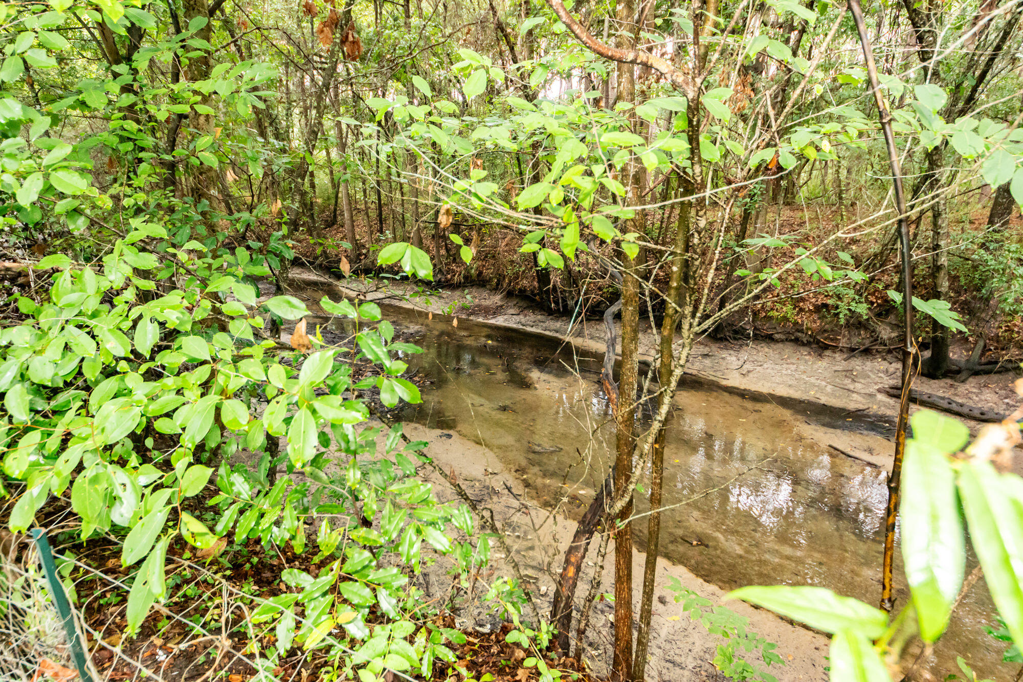 3572 Berryhill Road Johns Island, SC 29455 - Photo 6 of 36 Tidal creek