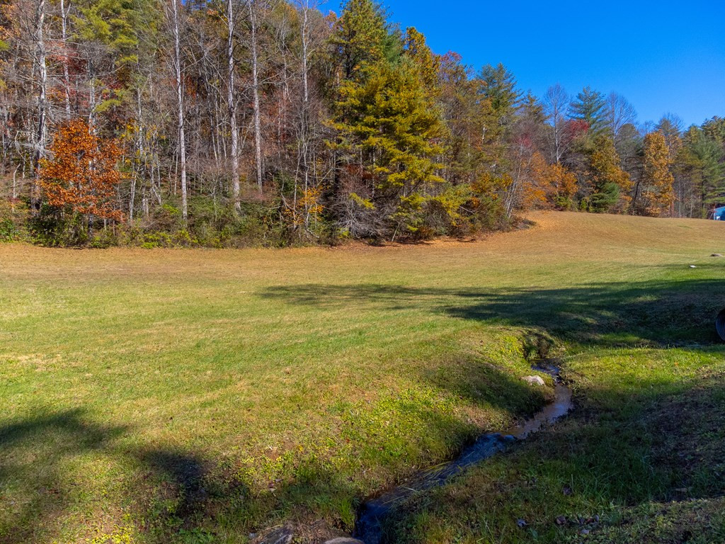 59 Poison Branch Road Robbinsville, NC 28771 - Photo 44 of 58 Gallery Image 44