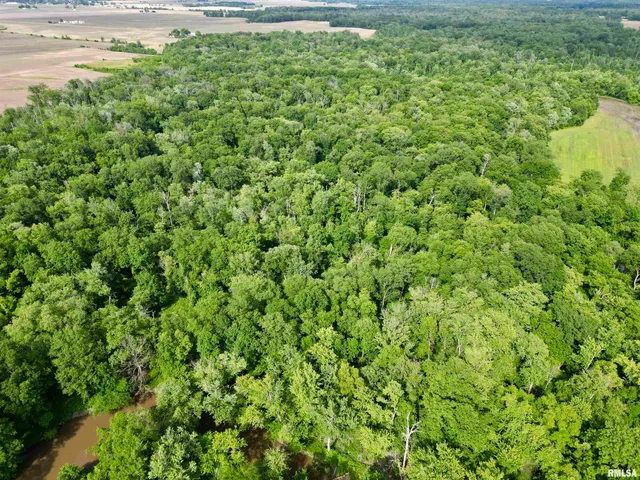 $124,800 | 0 Magnolia Road, Centralia, IL 62801