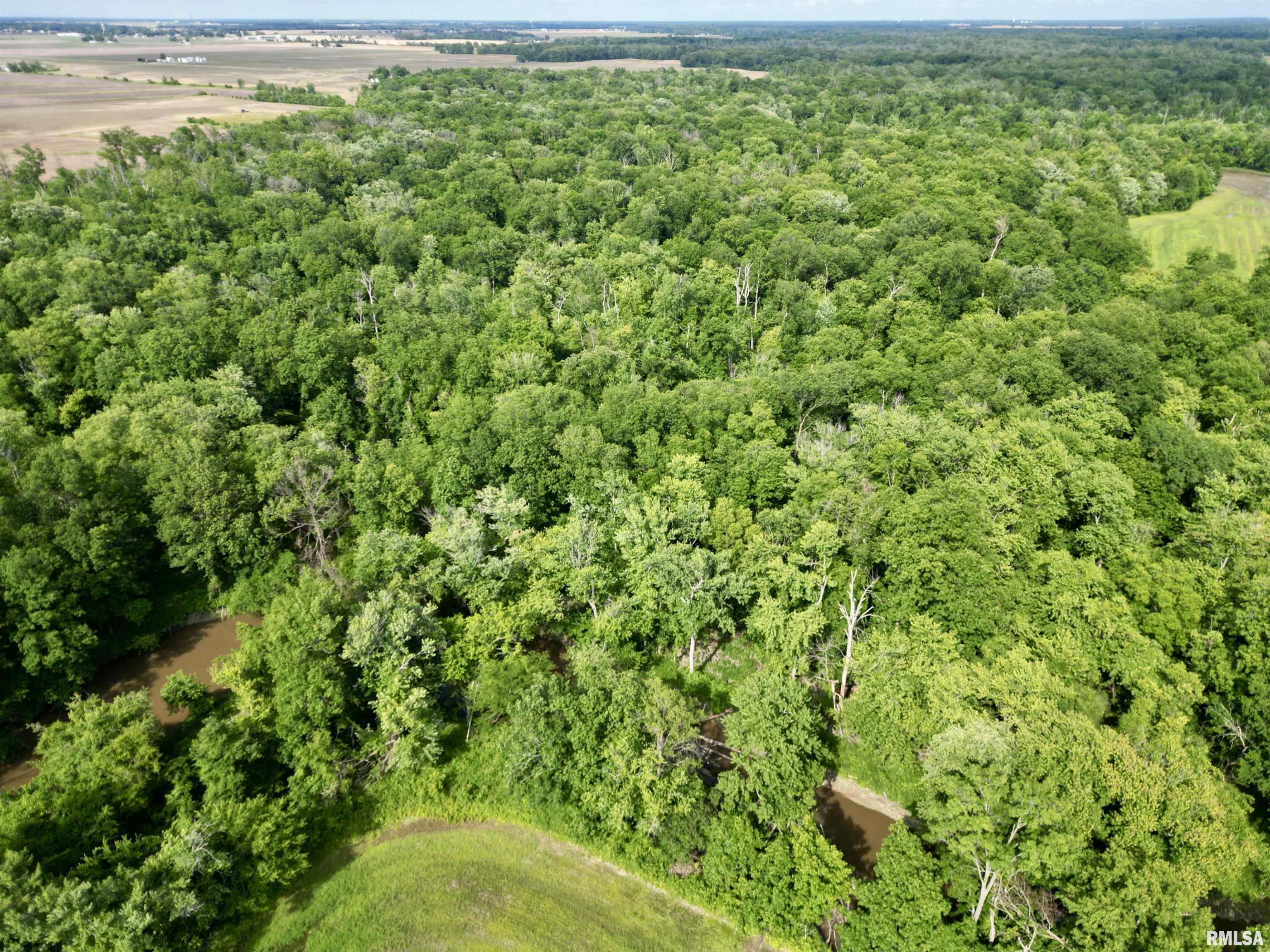 0 Magnolia Road Centralia, IL 62801 - Photo 2 of 5