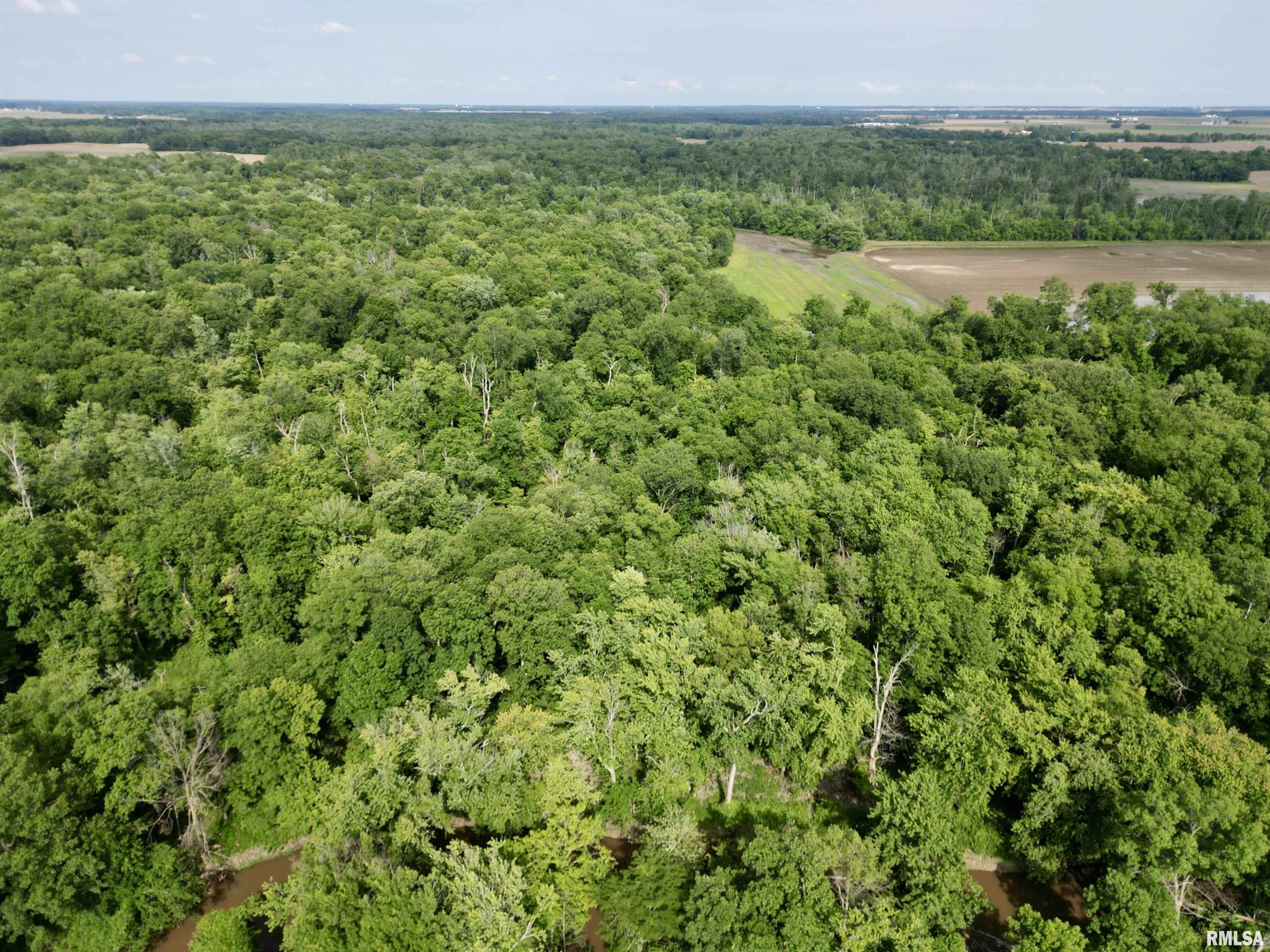 0 Magnolia Road Centralia, IL 62801 - Photo 3 of 5