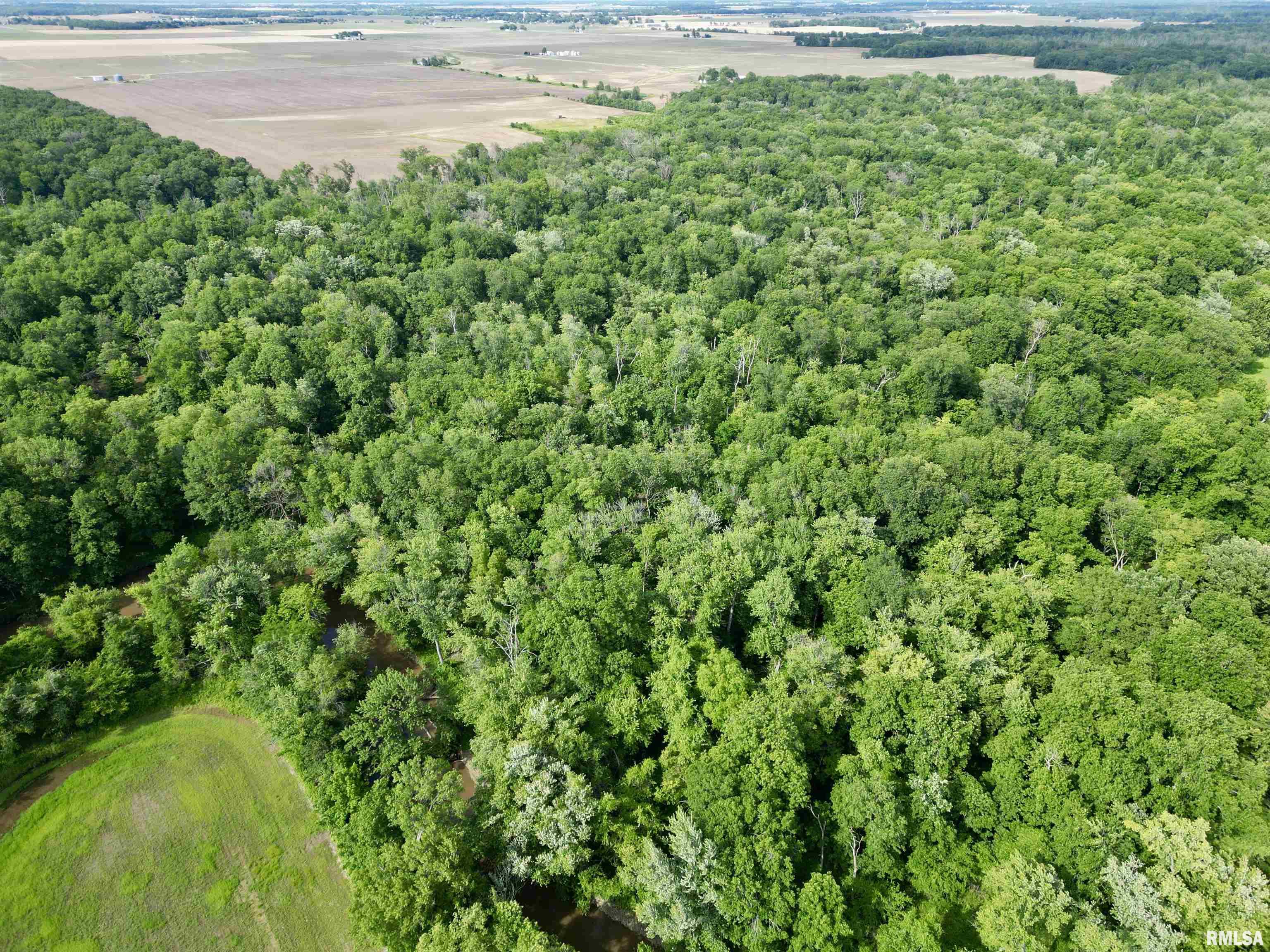 0 Magnolia Road Centralia, IL 62801 - Photo 4 of 5