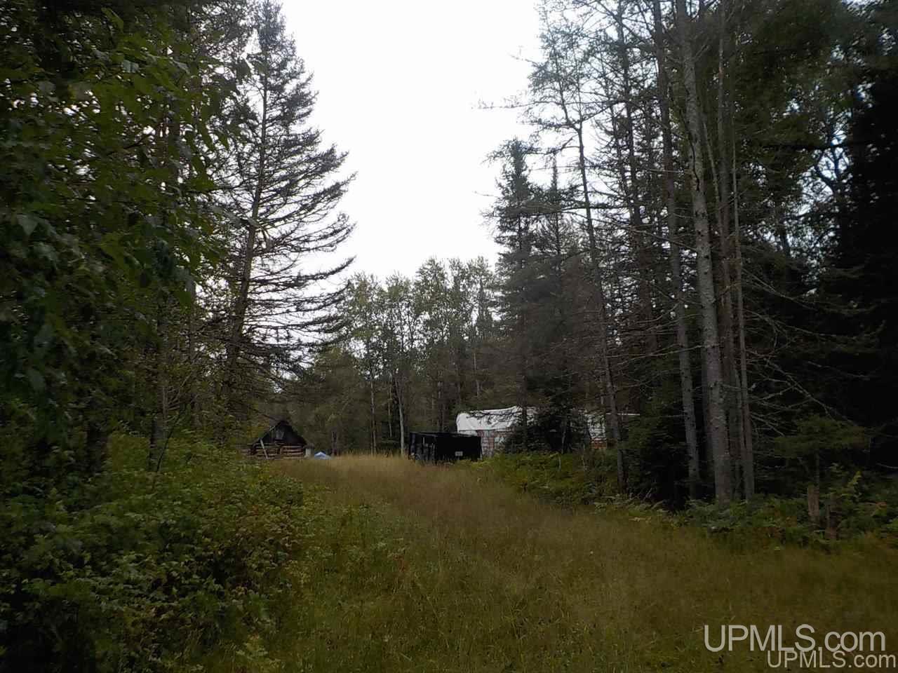 196.2-ac East Cable Lake Road Crystal Falls, MI 49920 - Photo 6 of 17
