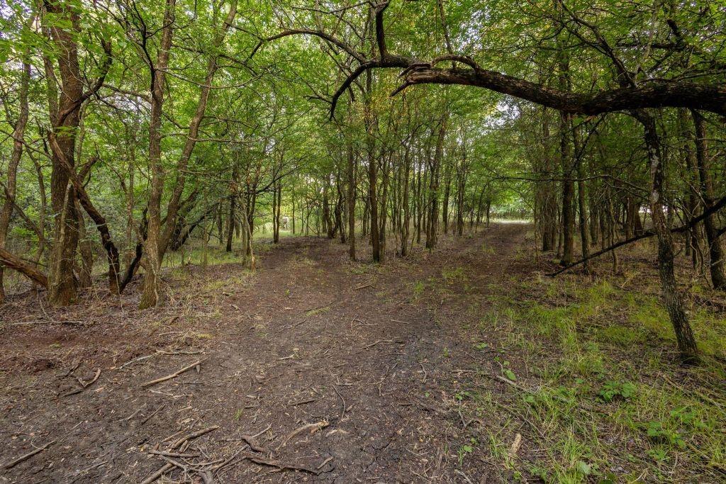 4251 Refuge Road Sherman, TX 75092 - Photo 36 of 40 a view of a forest with trees in the background
