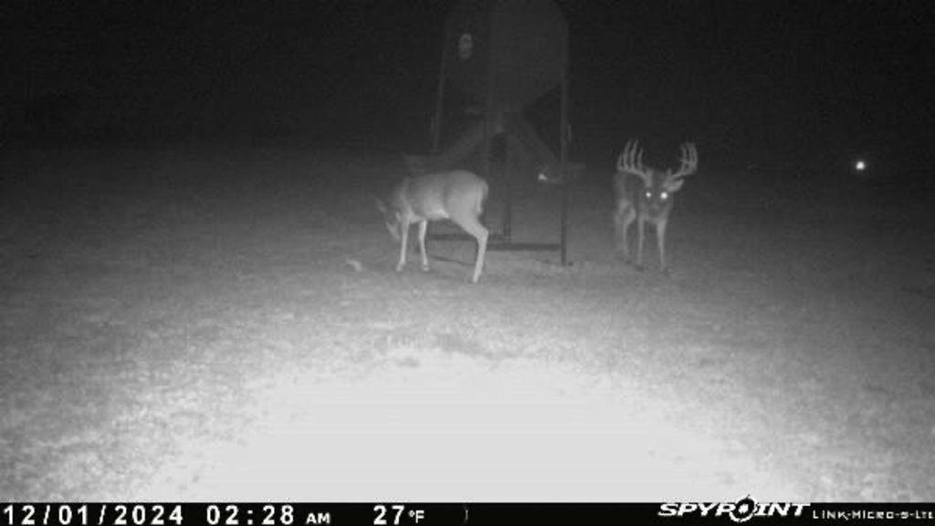 4251 Refuge Road Sherman, TX 75092 - Photo 40 of 40