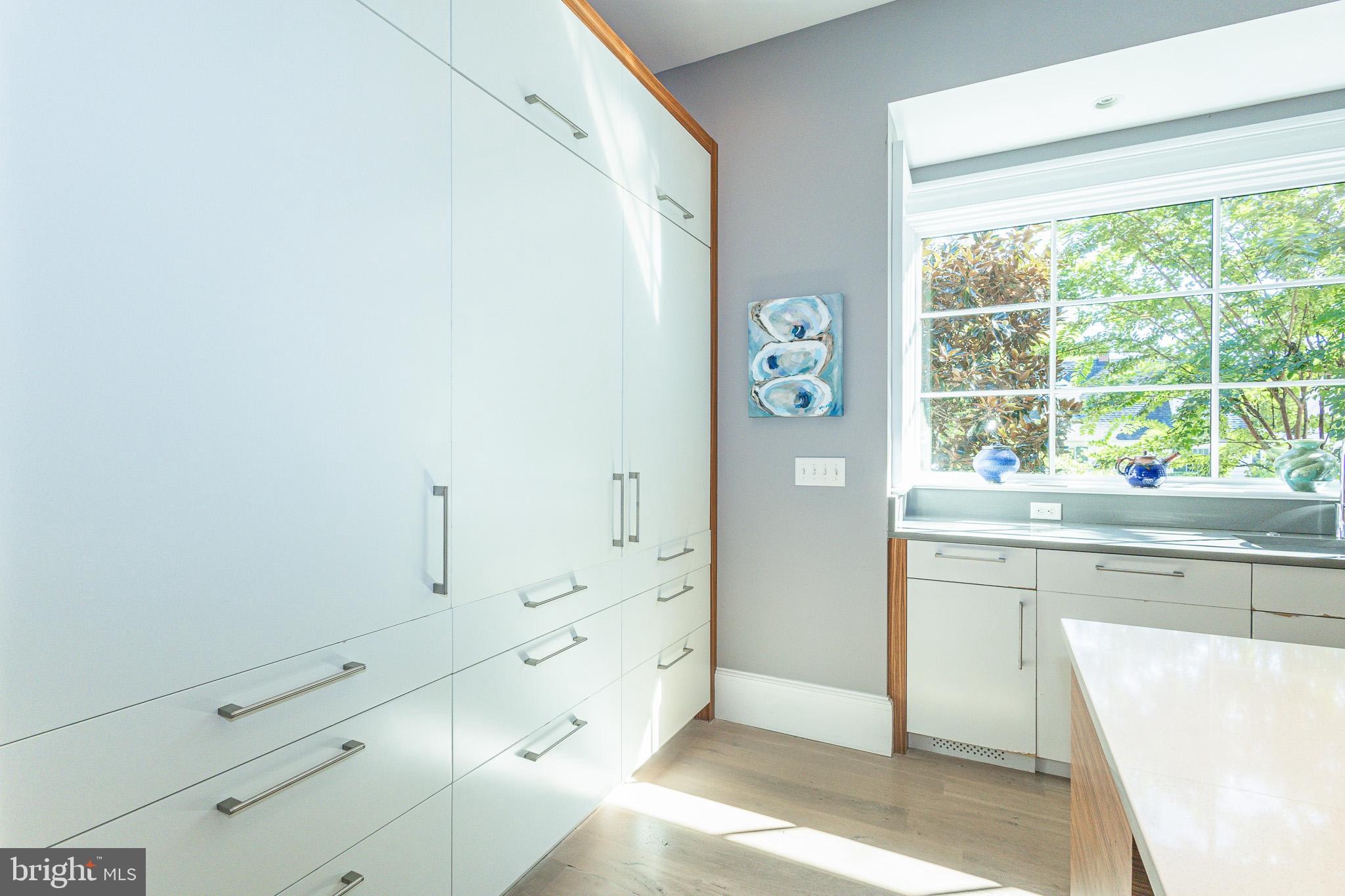 1004 Moss Haven Court Annapolis, MD 21403 - Photo 13 of 77 Wall-to-wall pantry cabinets!