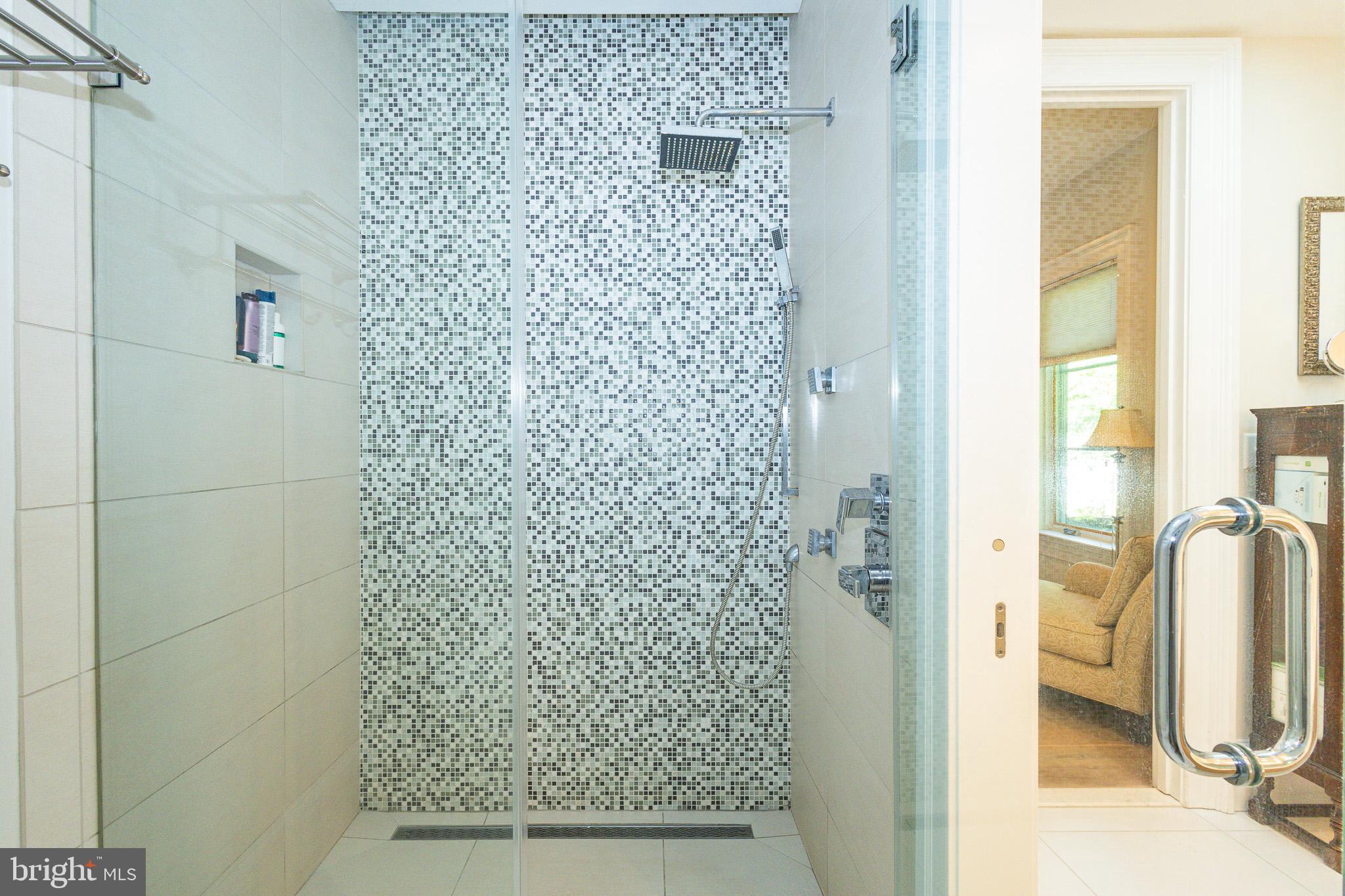 1004 Moss Haven Court Annapolis, MD 21403 - Photo 38 of 77 Large glass shower