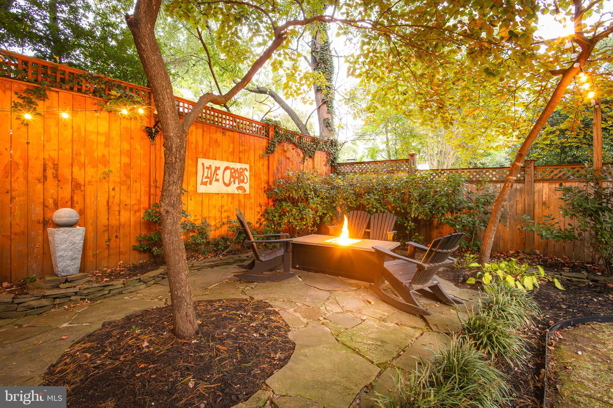 1004 Moss Haven Court Annapolis, MD 21403 - Photo 66 of 77 Firepit kinda night!