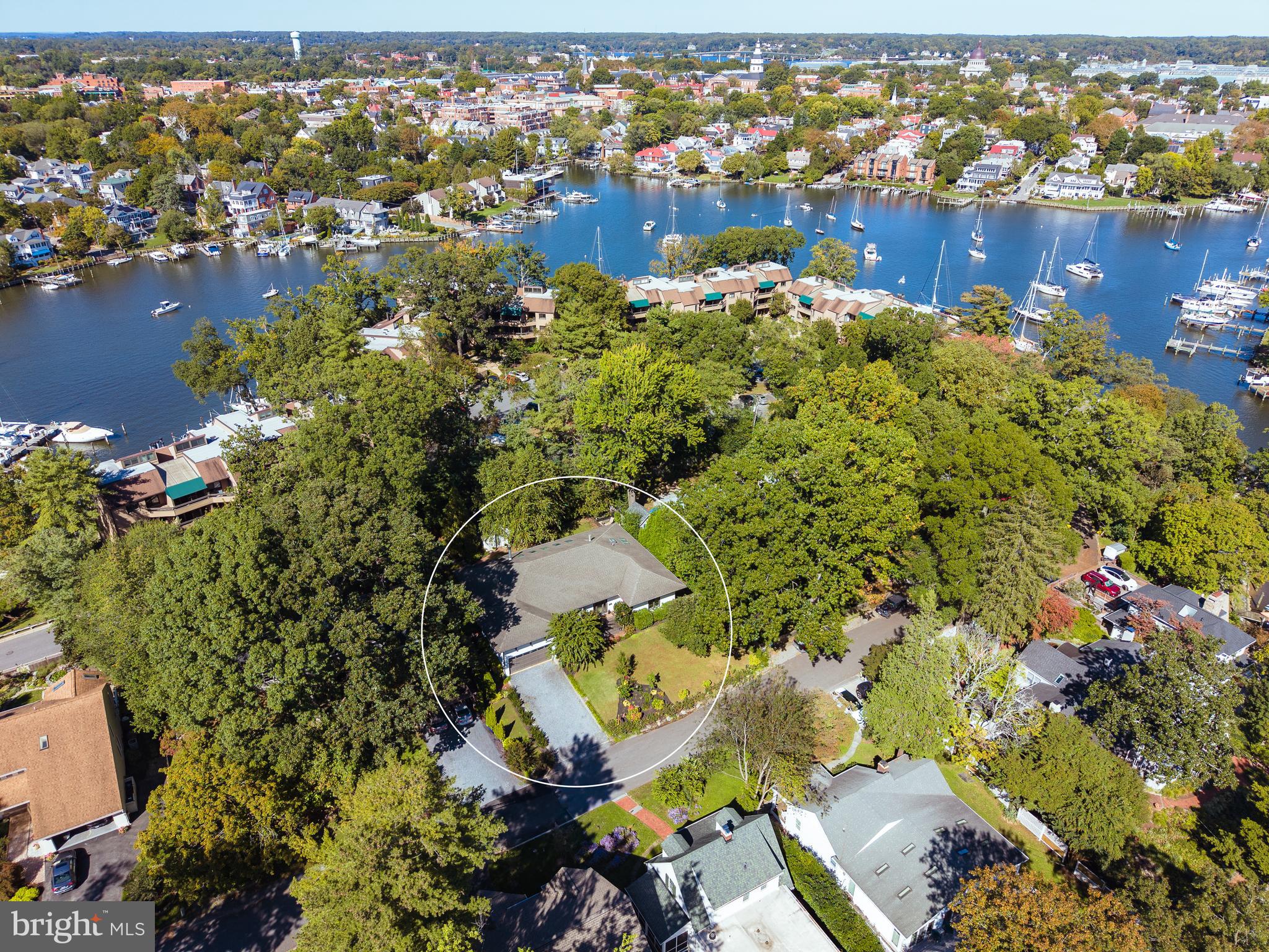 1004 Moss Haven Court Annapolis, MD 21403 - Photo 75 of 77 an aerial view of residential houses with outdoor space