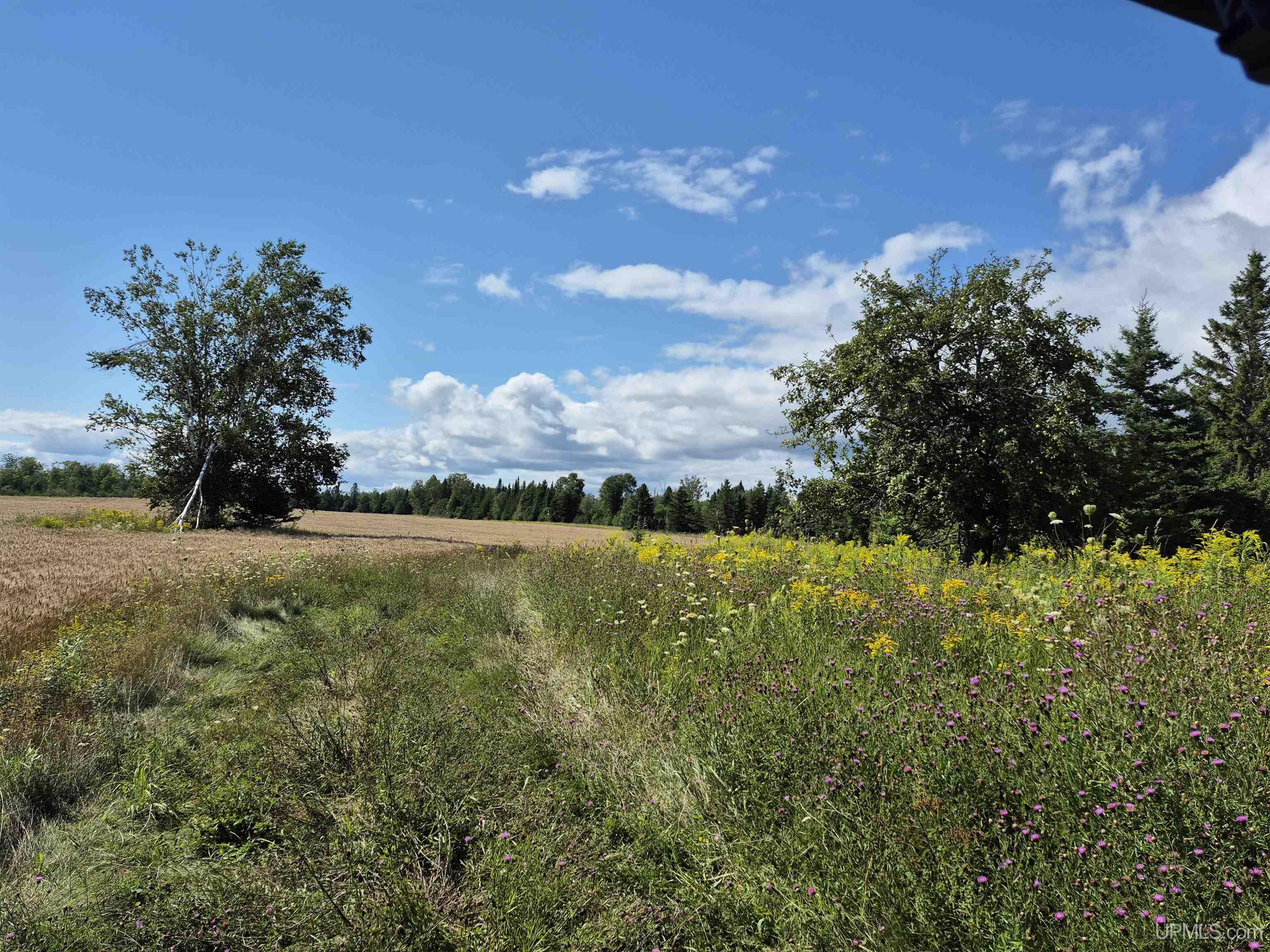 160-acres Halverson Road Gulliver, MI 49840 - Photo 20 of 35