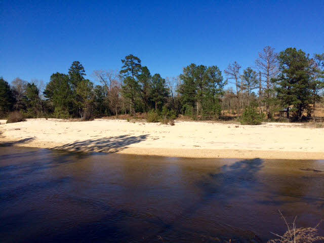 20932 Earl Phillips Road Little River, AL 36550 - Photo 3 of 17 Property View