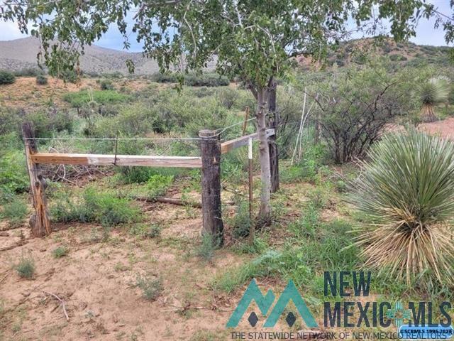 Xx Xx Burro Road Silver City, NM 88061 - Photo 1 of 1 Gallery Image 1