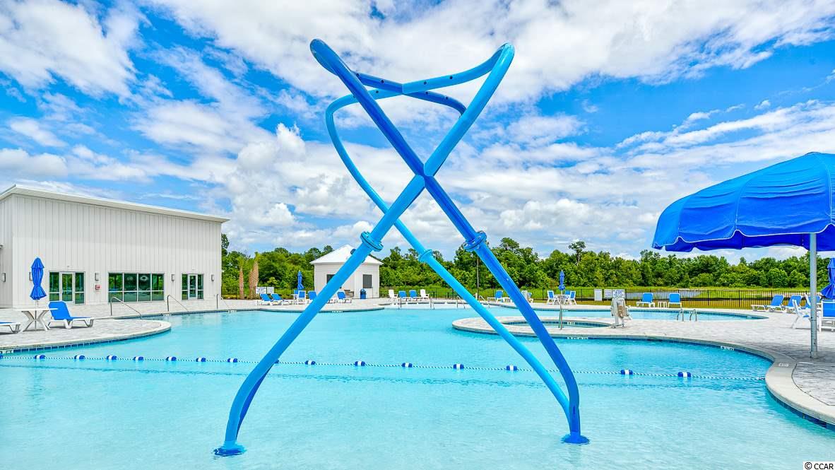 10072 Hamilton Branch Loop Myrtle Beach, SC 29579 - Photo 34 of 40 Gallery Image 34