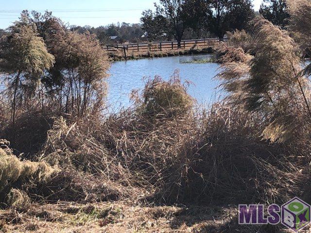 22651 Plank Road Zachary, LA 70791 - Photo 11 of 13 Gallery Image 11