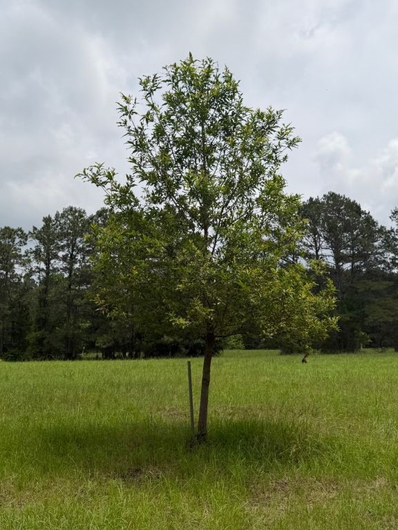 371 Fm 1872 Corrigan, TX 75939 - Photo 45 of 50