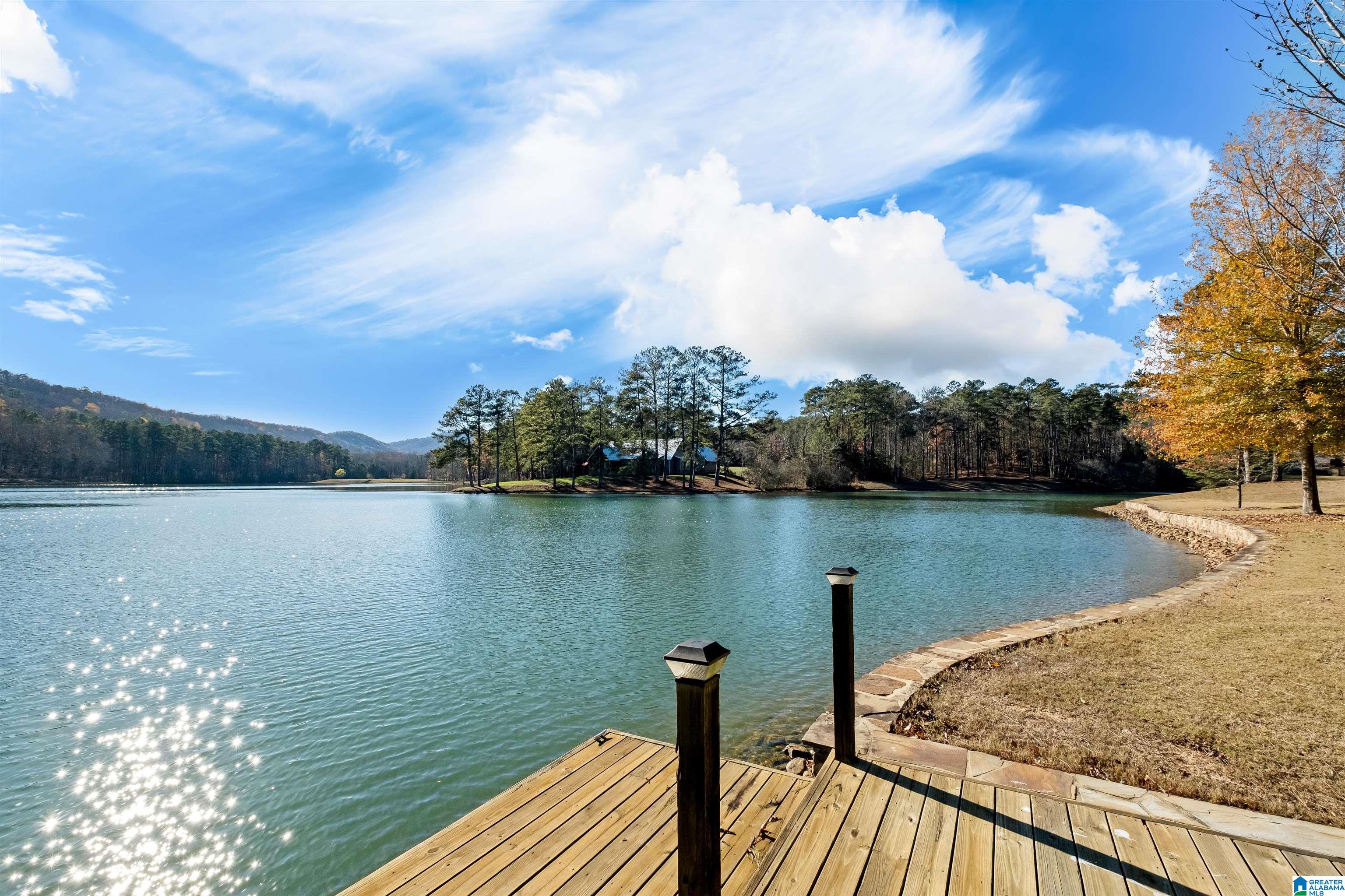 1200 Twin Pines Road Sterrett, AL 35147 - Photo 3 of 89