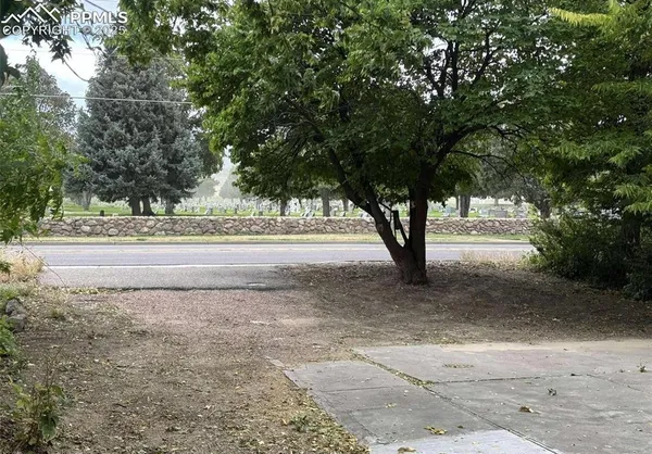 a view of a yard with large trees