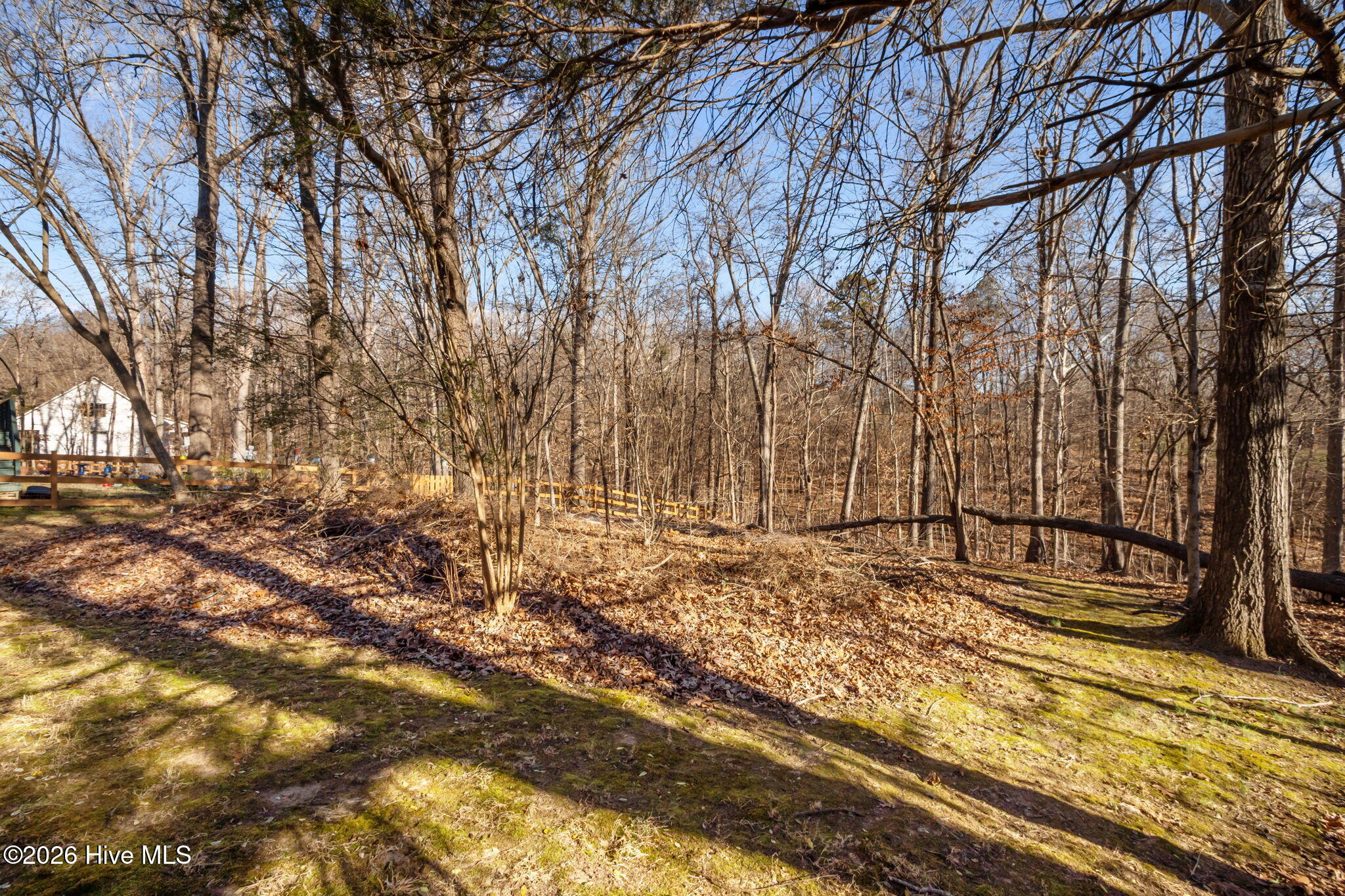 4802 Seterra Bend Durham, NC 27712 - Photo 14 of 54 48-web-or-mls-P1100588