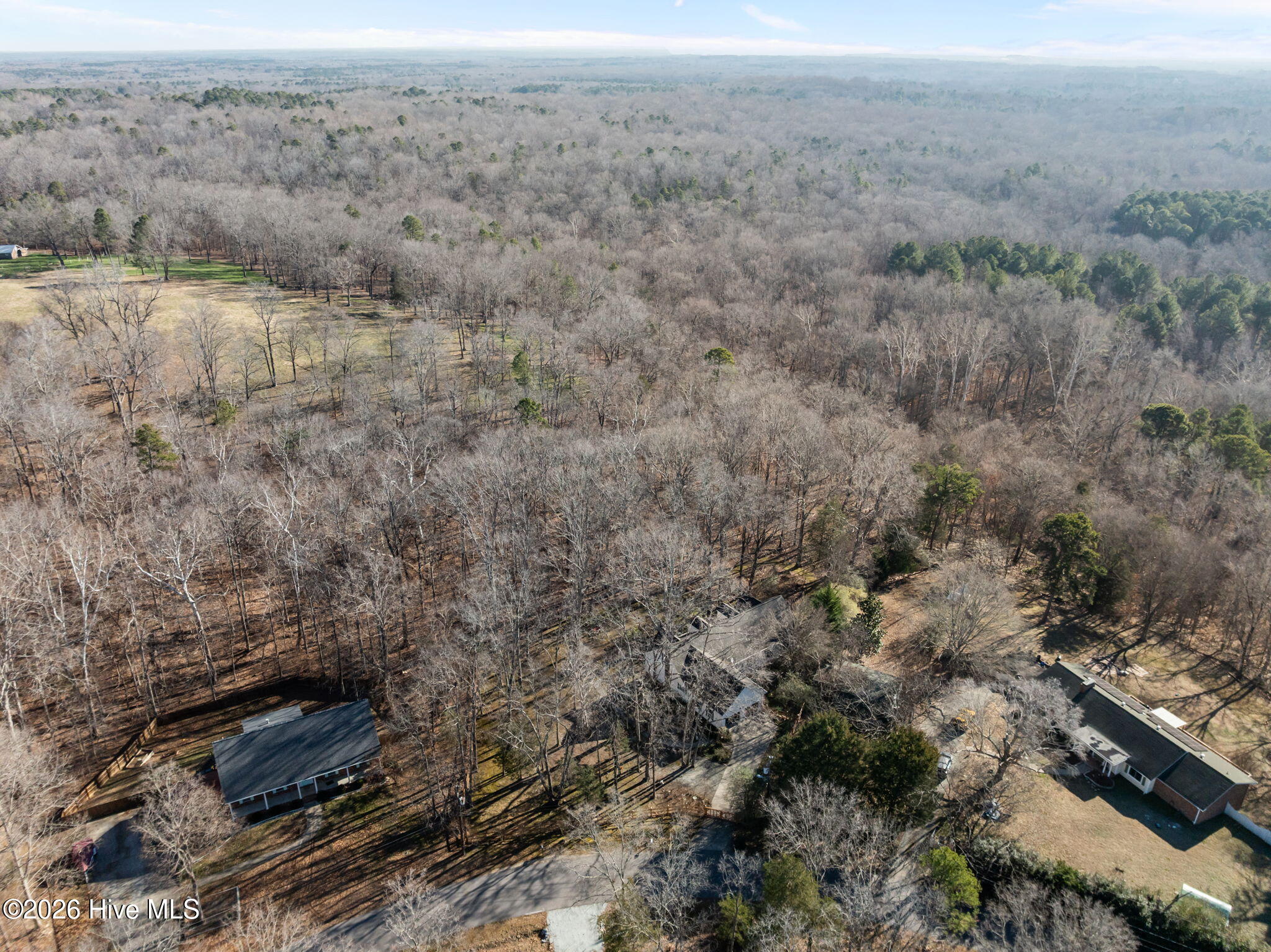 4802 Seterra Bend Durham, NC 27712 - Photo 4 of 54 53-web-or-mls-DJI_0919