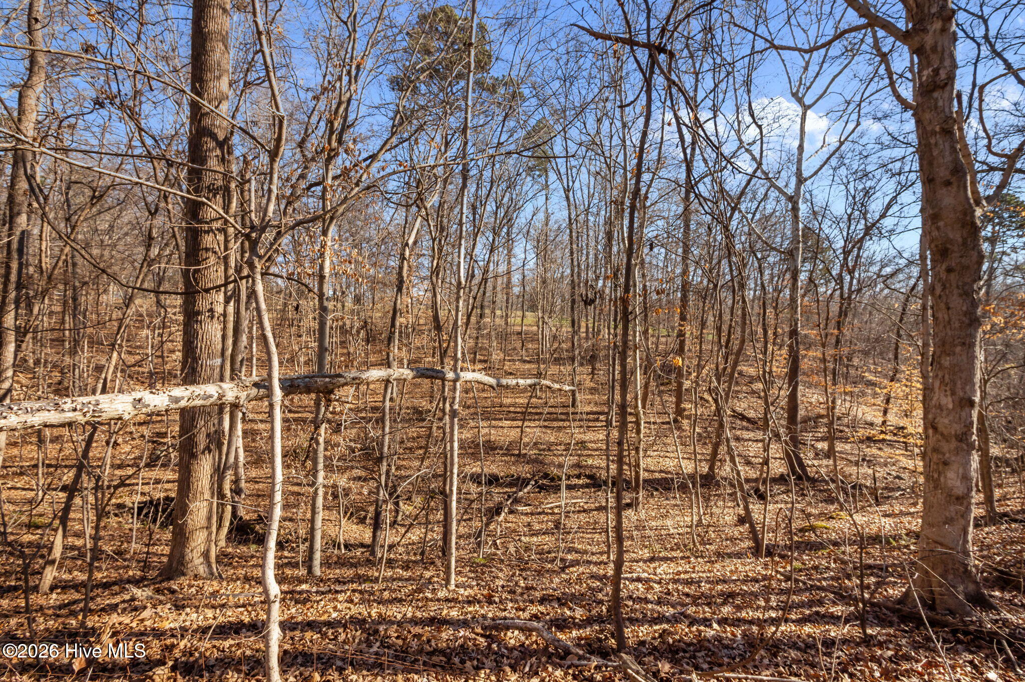 4802 Seterra Bend Durham, NC 27712 - Photo 7 of 54 40-web-or-mls-P1100578