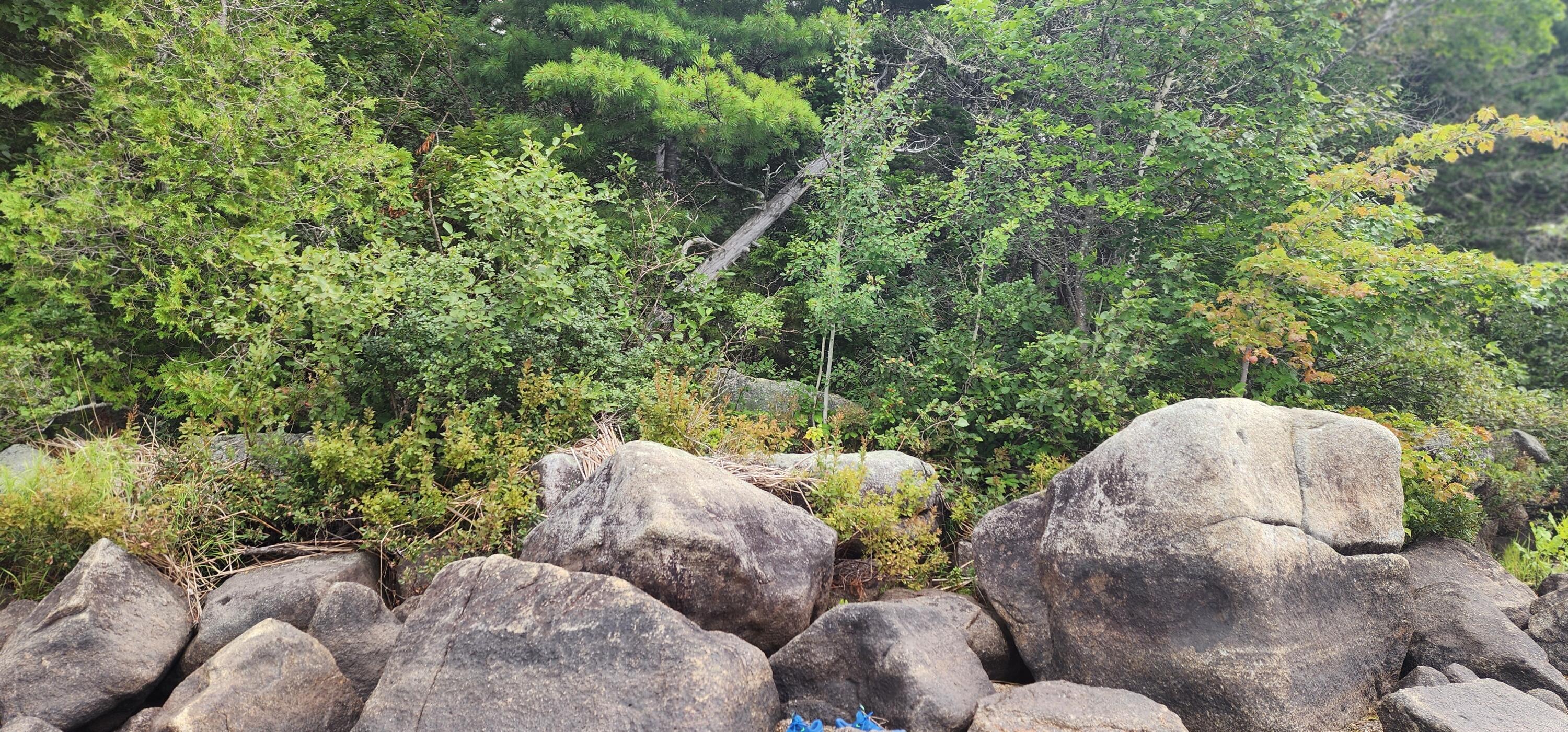Off Dunphy Lane Island Falls, ME 04747 - Photo 15 of 16 20240815_095607