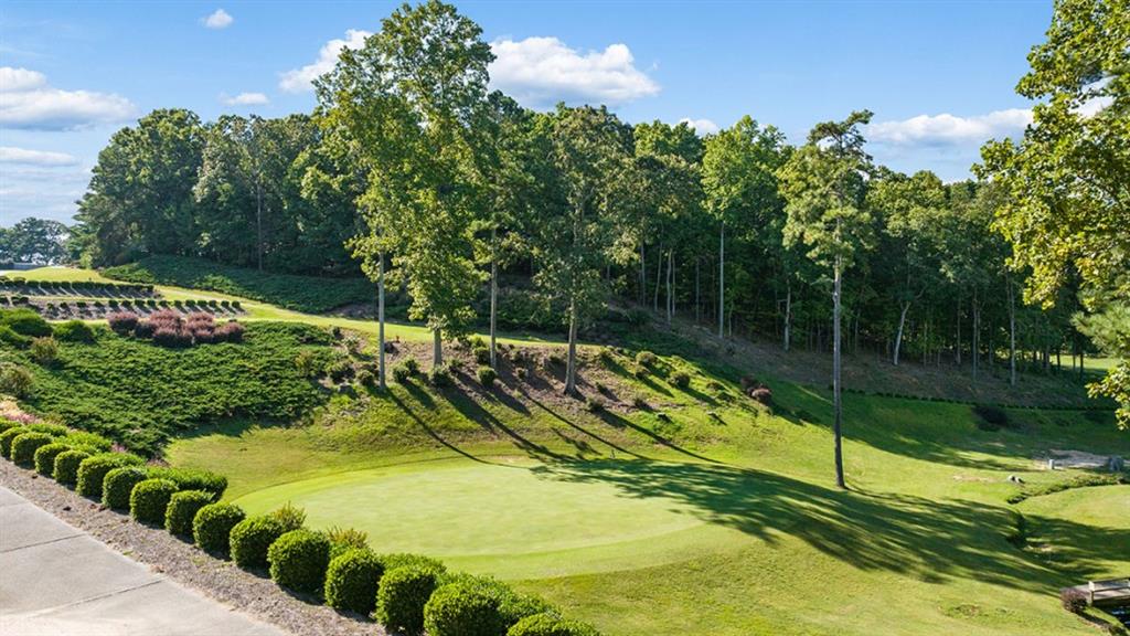 348 Belmont Drive Cartersville, GA 30120 - Photo 36 of 41 a view of a yard with swimming pool and green space
