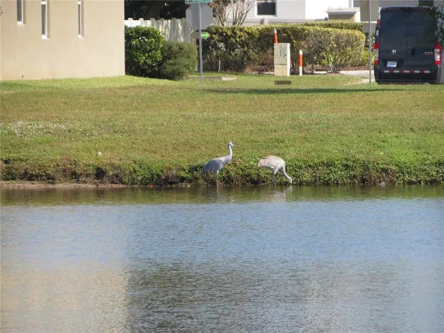 a view of a backyard with a garden