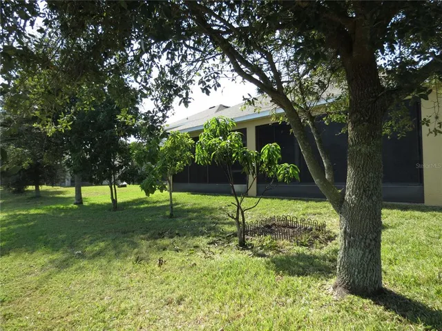 a backyard of a house with potted plants and a large tree