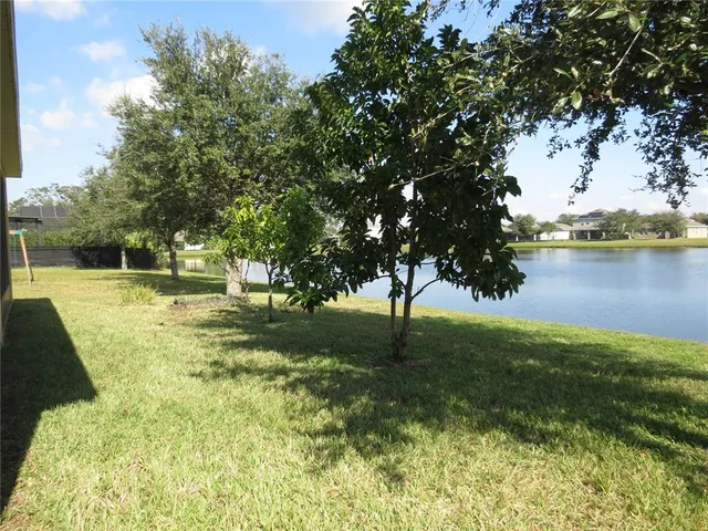 a view of yard with large tree