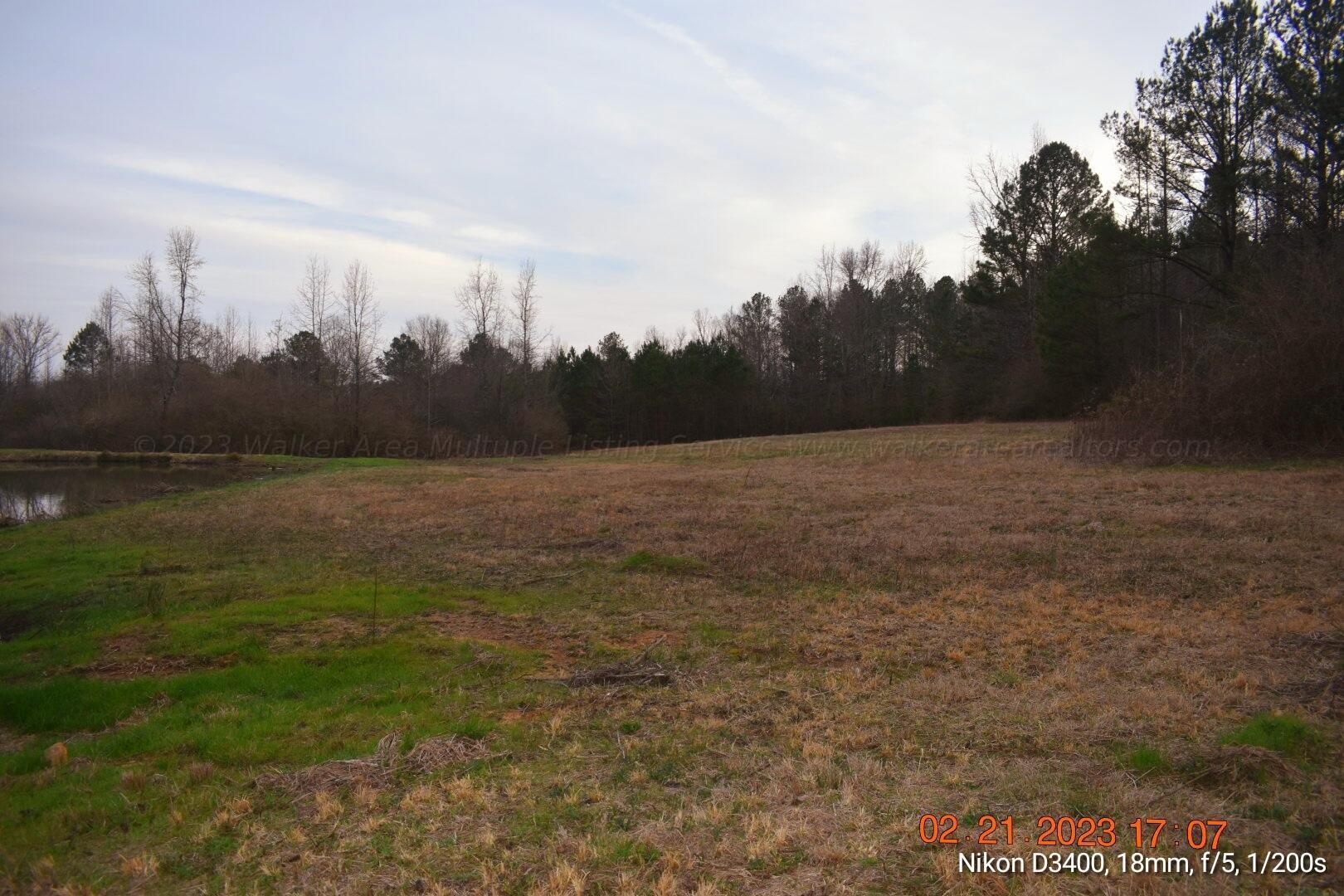Leonards Chapel Road Carbon Hill, AL 35549 - Photo 17 of 41 Gallery Image 17
