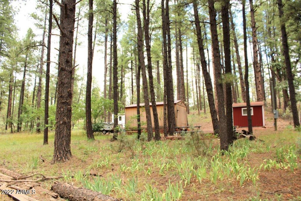 1 Running Elk Road, Unit 1 Payson, AZ 85541 - Photo 11 of 13 IMG_1372