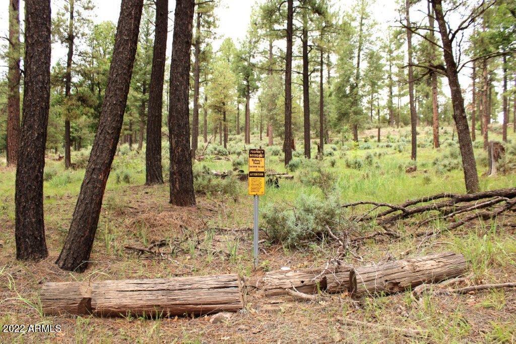 1 Running Elk Road, Unit 1 Payson, AZ 85541 - Photo 13 of 13 IMG_1356