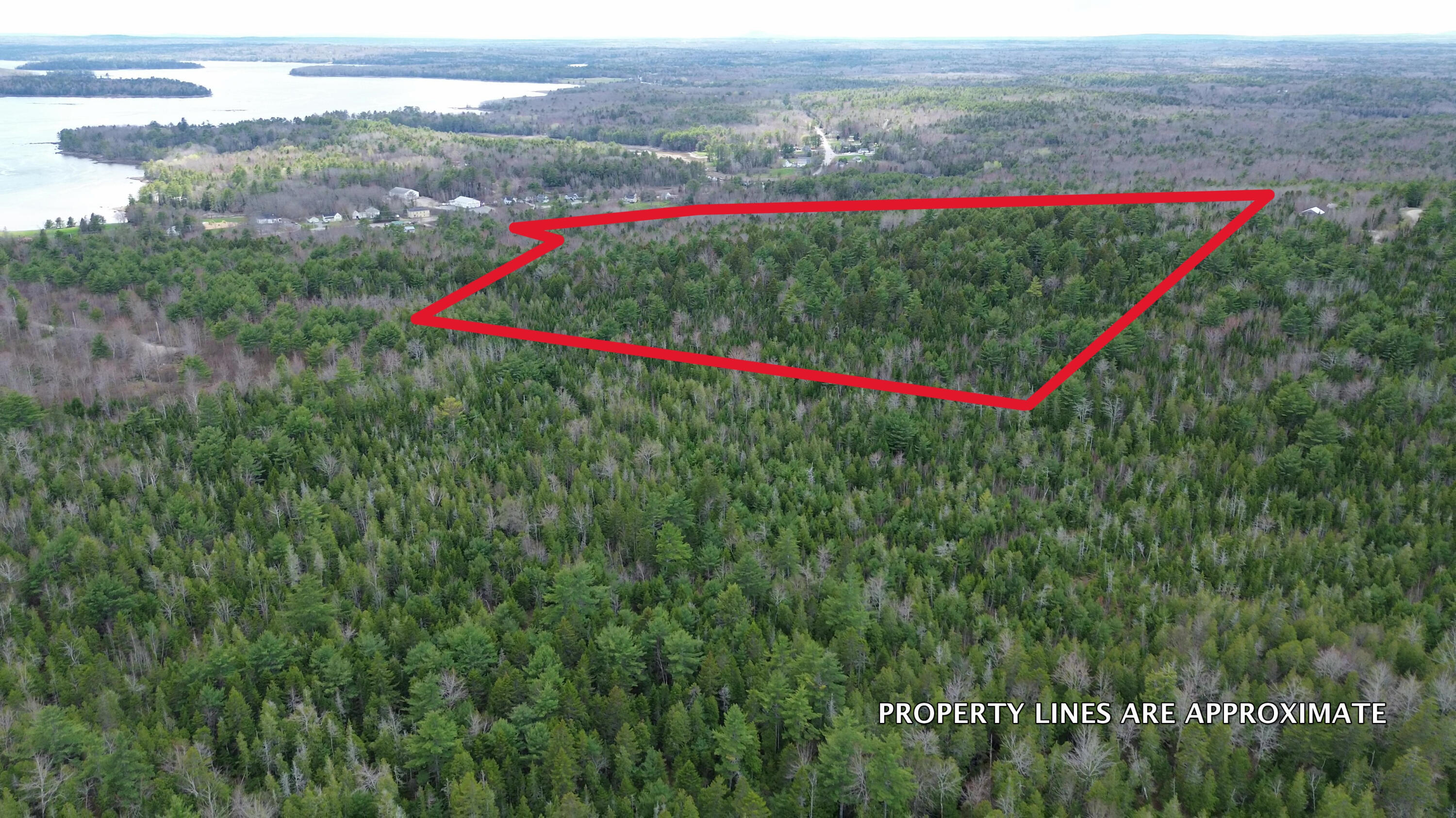 Map6-21 Bailey Mountain Road Franklin, ME 04634 - Photo 4 of 12 Approximate Boundary