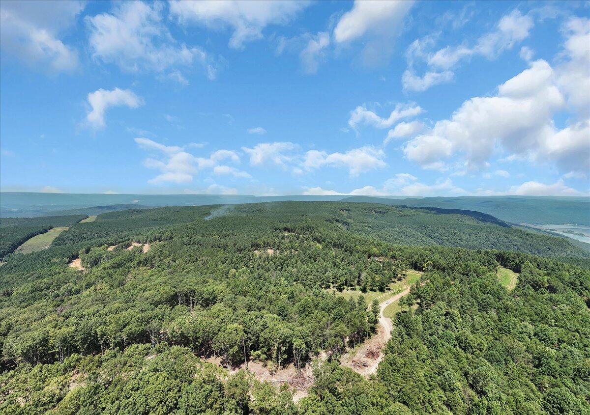0 Musket Road, Unit 1324 Guild, TN 37340 - Photo 9 of 28 04-DJI_20250819122035_0042_D