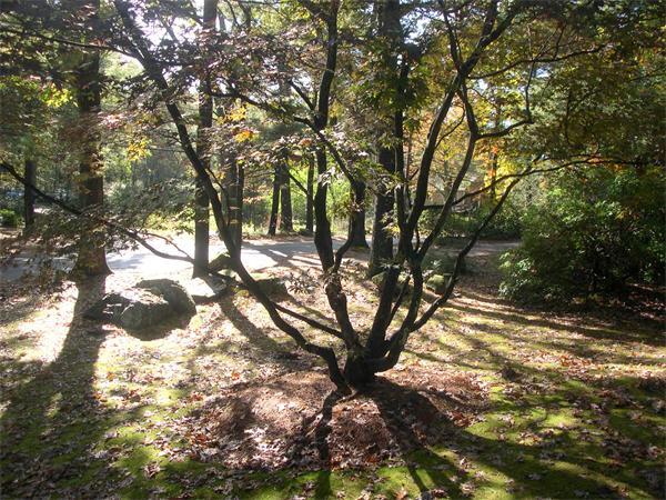 87 Edmands Road Framingham, MA 01701 - Photo 30 of 30