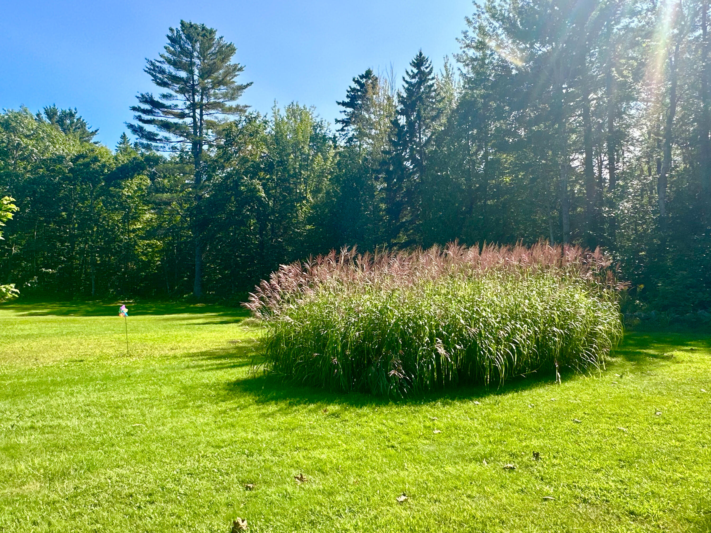 114 George Road Prospect, ME 04981 - Photo 23 of 46 IMG_3334