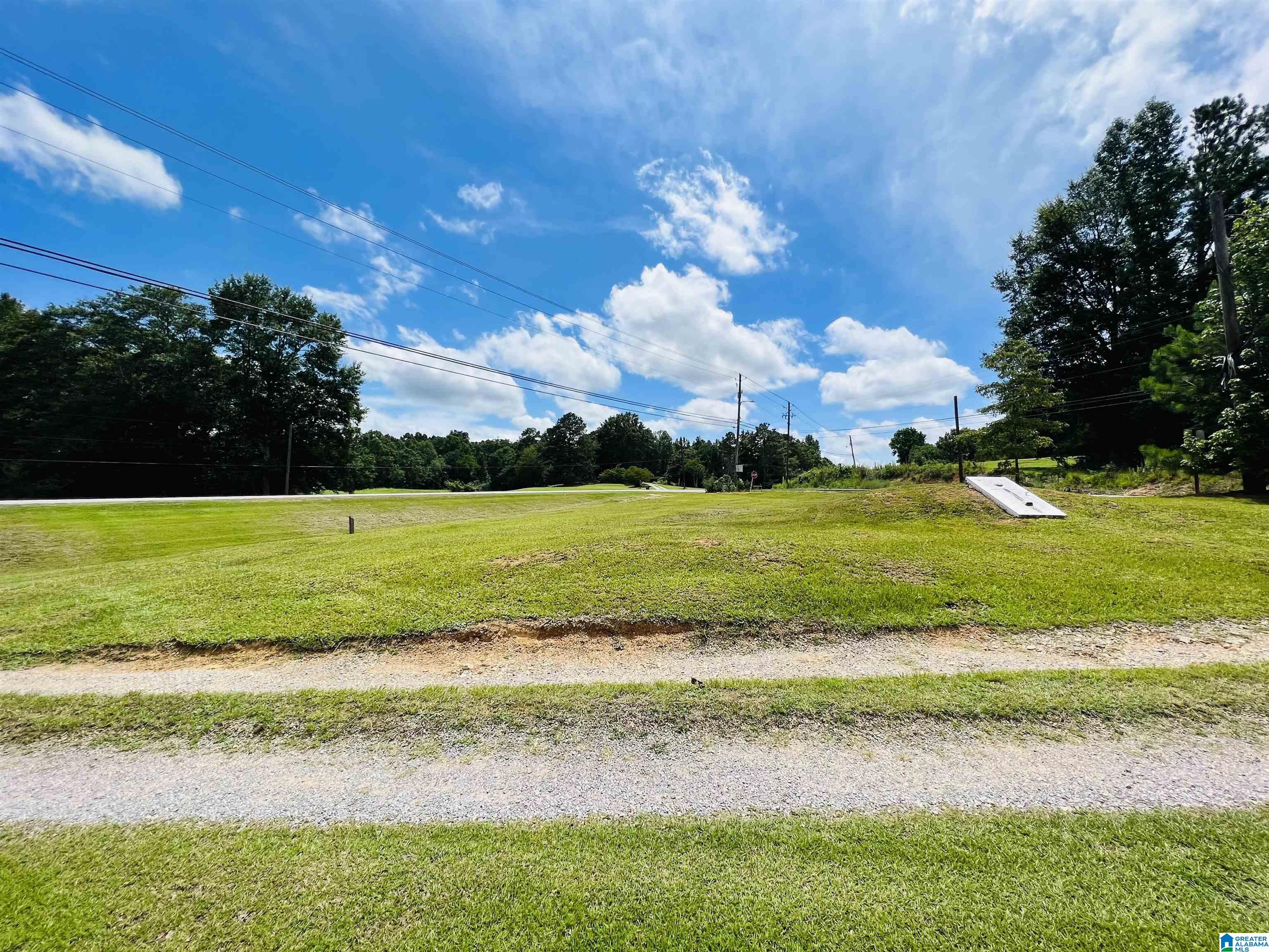 61252 Highway 231 Cleveland, AL 35049 - Photo 7 of 16