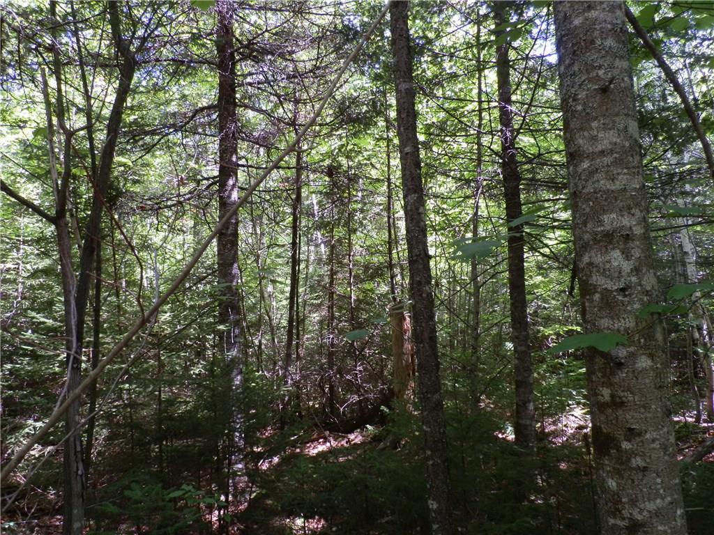 Lot 63 Eleanor Mae Road Deblois, ME 04622 - Photo 12 of 23 Photo