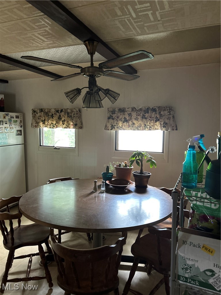 11406 Bellaire Road Cleveland, OH 44111 - Photo 6 of 28 Dining area featuring healthy amount of natural light, a ceiling fan, and an ornate ceiling