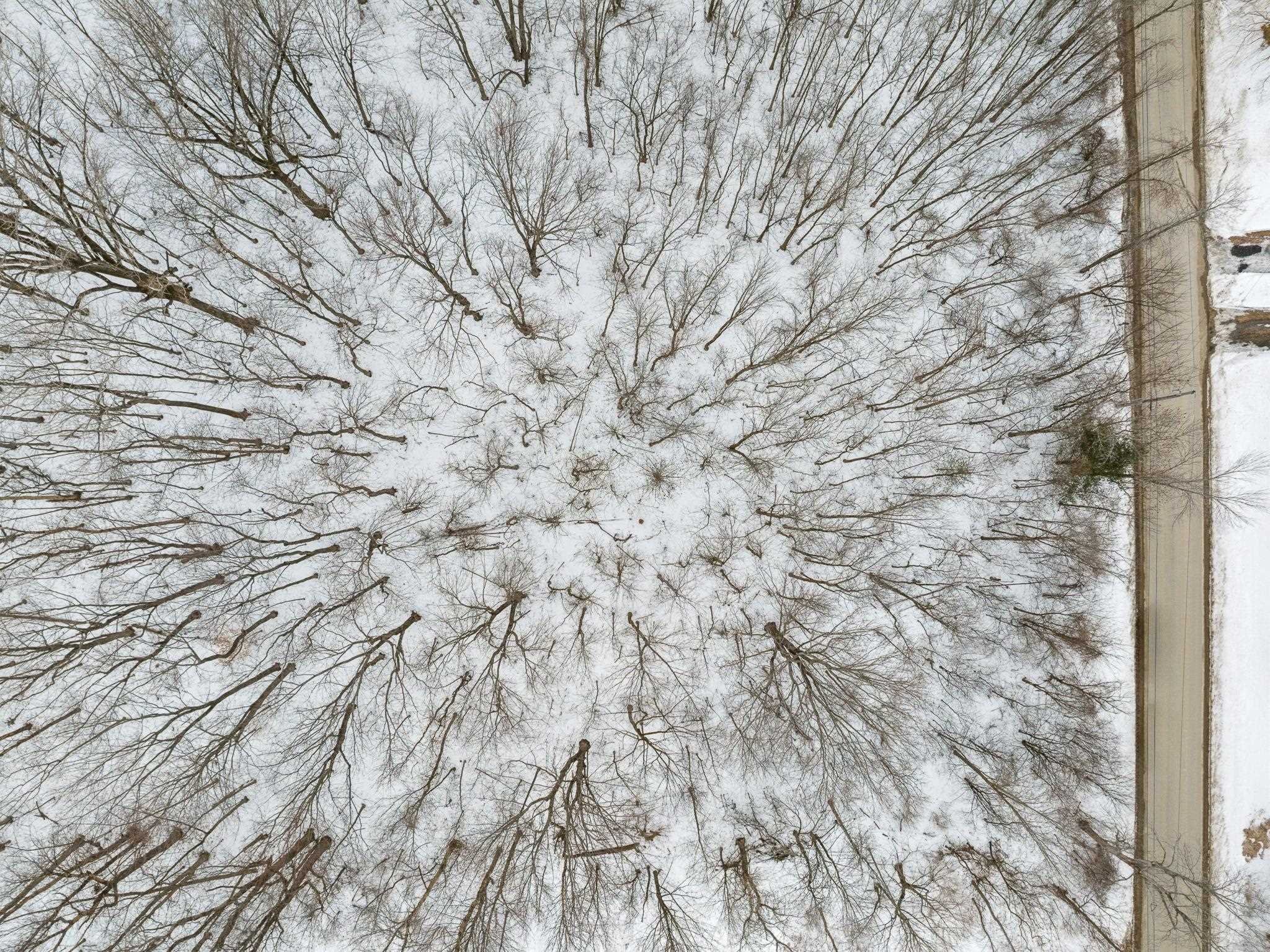 Tbd Abnaki Road, Unit LOT 1 North Hero, VT 05474 - Photo 7 of 12