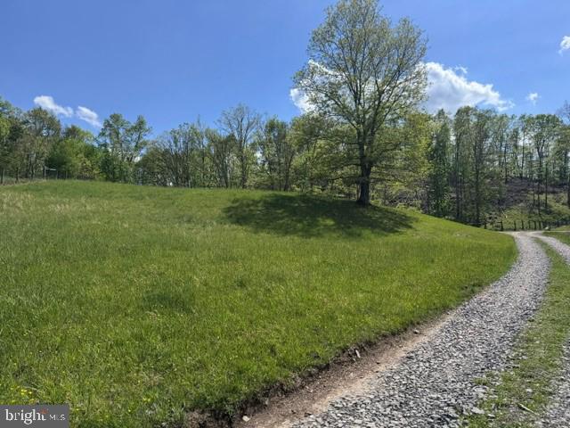 Tbd Shaffers Run Road Mill Creek, WV 26280 - Photo 23 of 43