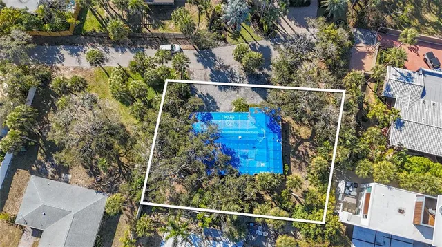 a view of a tree with a tree