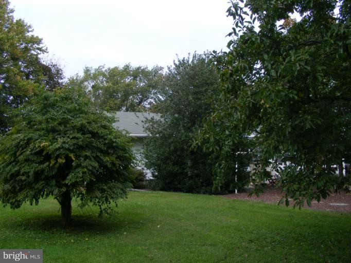 118 Theodore Road Port Deposit, MD 21904 - Photo 10 of 28 Exterior (Rear)