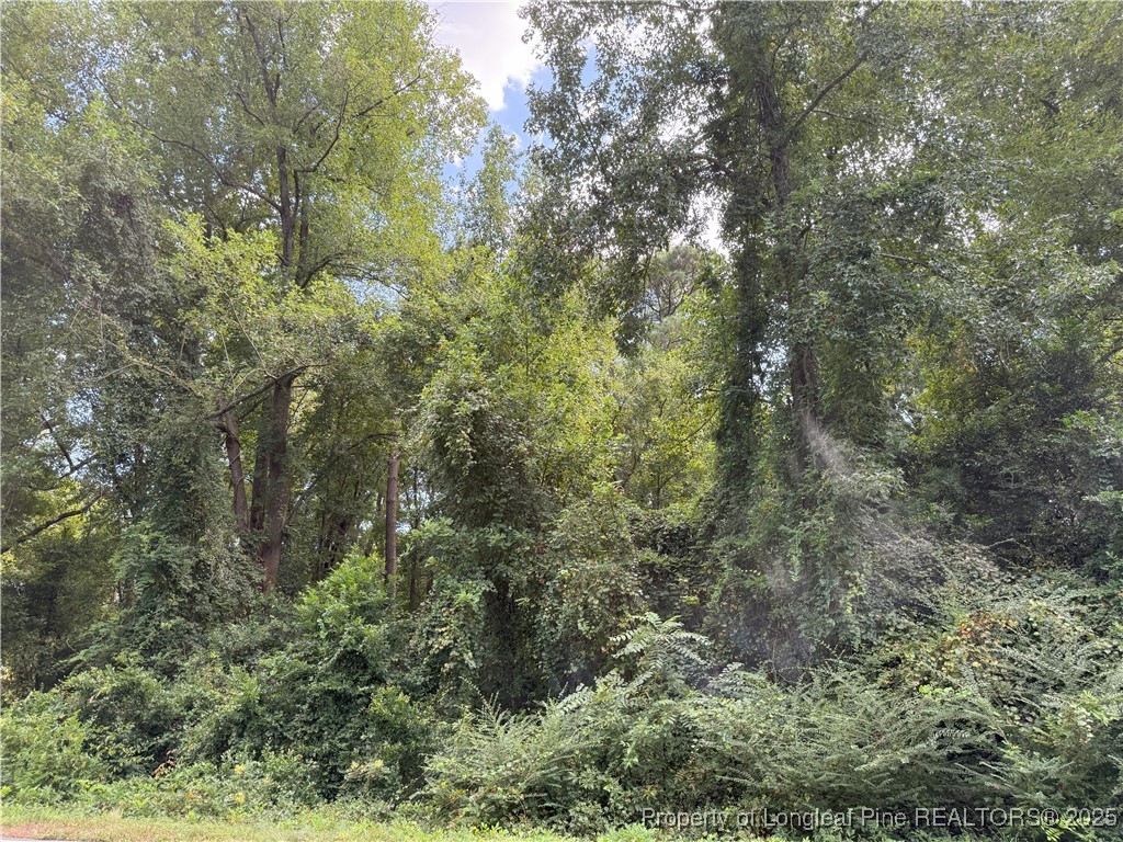 Lot 3 East Williams Street Autryville, NC 28318 - Photo 2 of 6