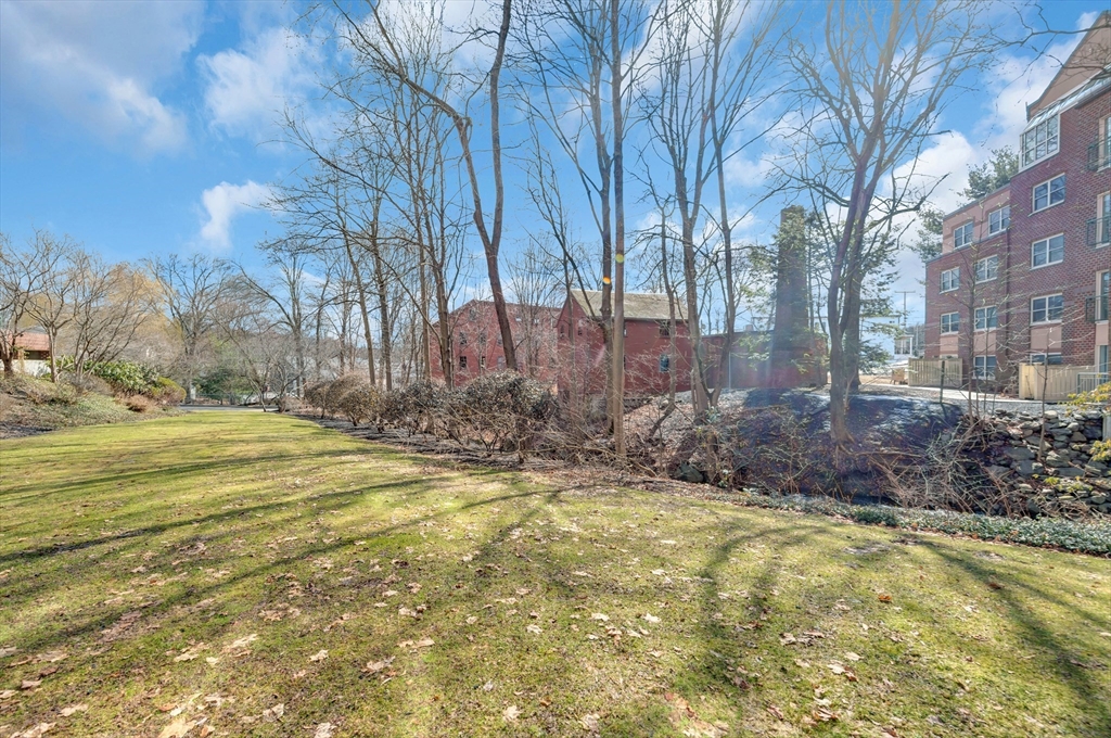 1 Watermill Place, Unit 312 Arlington, MA 02476 - Photo 31 of 33 a view of a yard with large trees