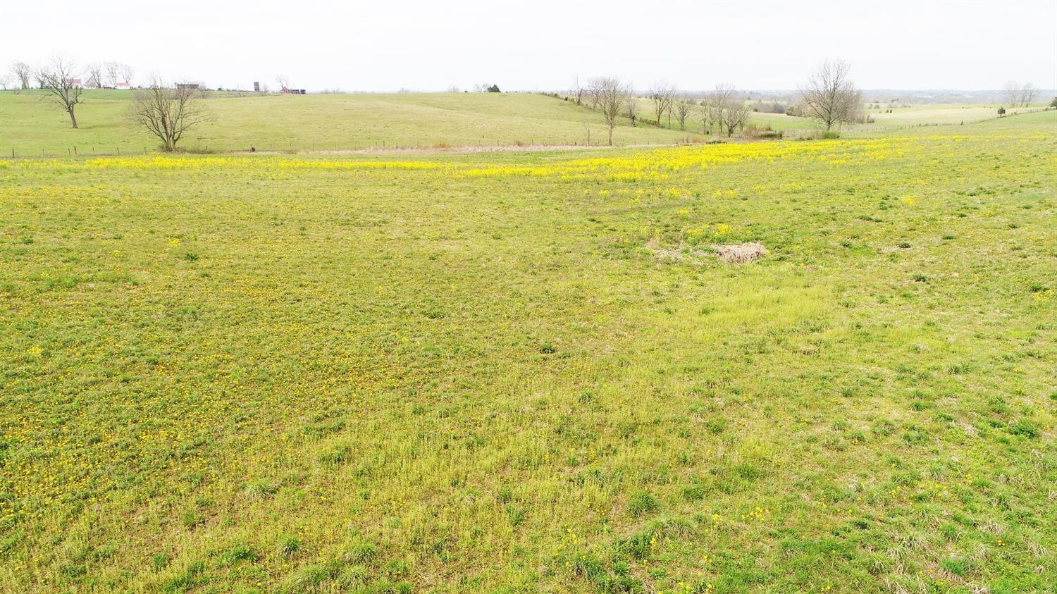 4278 Louisville Road Salvisa, KY 40372 - Photo 10 of 26 Listing Photo