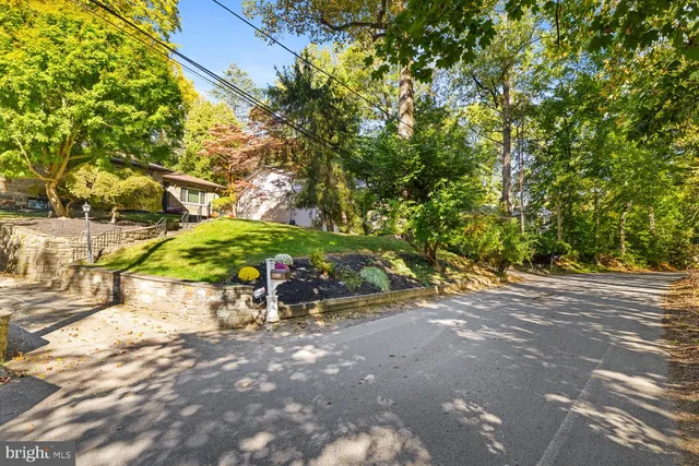 a view of a street with potted plants