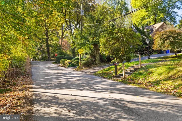 a view of a park with large trees