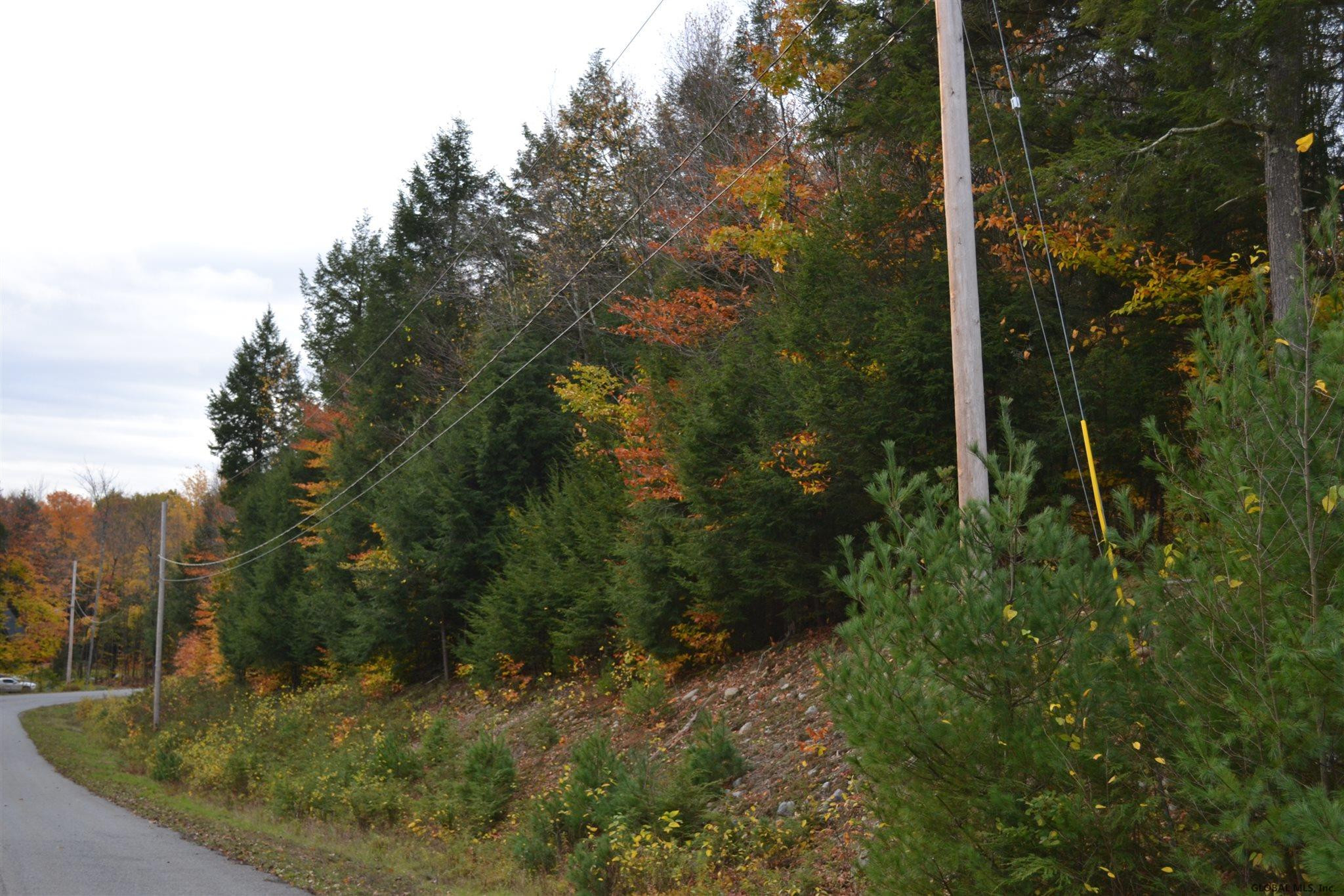 162 Diamond Ridge Road Bolton, NY 12824 - Photo 11 of 16 Photo 11
